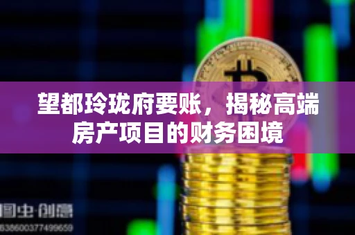 望都玲珑府要账，揭秘高端房产项目的财务困境