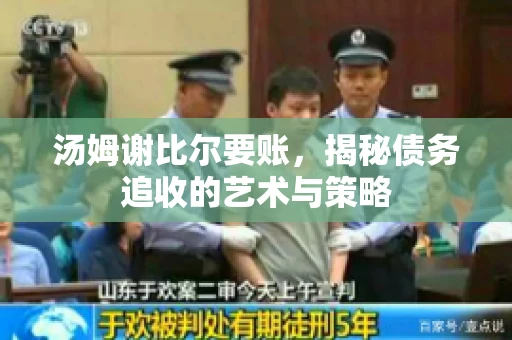 汤姆谢比尔要账，揭秘债务追收的艺术与策略