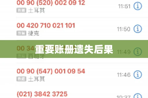 重要账册遗失后果