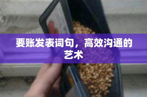 要账发表词句，高效沟通的艺术