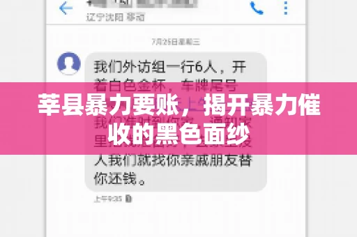 莘县暴力要账，揭开暴力催收的黑色面纱