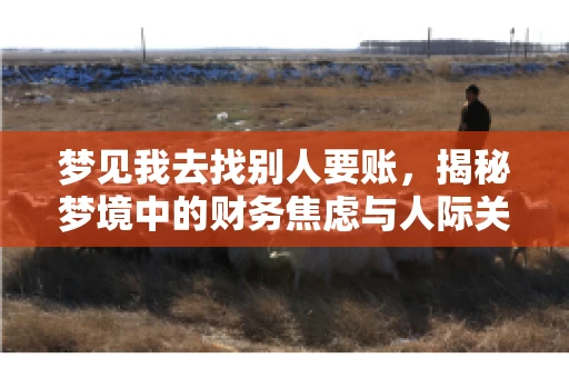 梦见我去找别人要账，揭秘梦境中的财务焦虑与人际关系