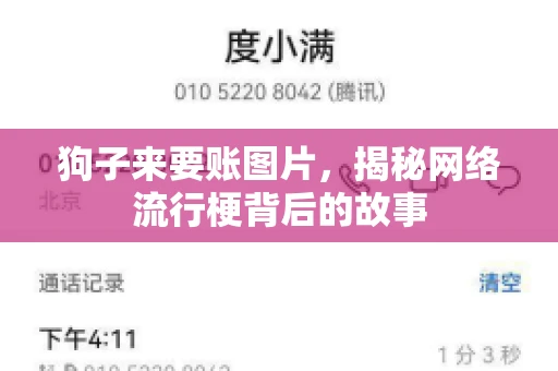 狗子来要账图片，揭秘网络流行梗背后的故事