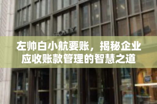 左帅白小航要账，揭秘企业应收账款管理的智慧之道