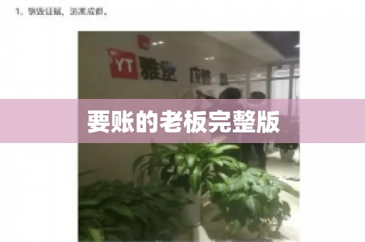 要账的老板完整版