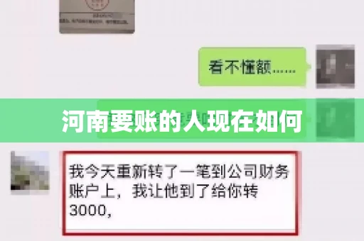 河南要账的人现在如何