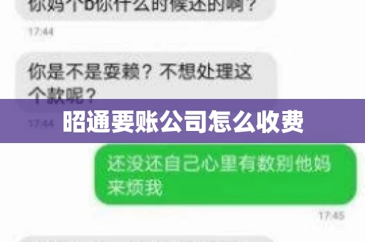昭通要账公司怎么收费