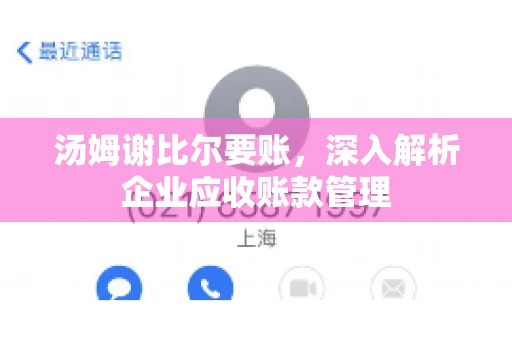 汤姆谢比尔要账,深入解析企业应收账款管理 汤姆谢比尔要账,深入解析企业应收账款管理