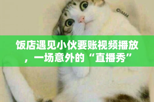 饭店遇见小伙要账视频播放,一场意外的“直播秀” 饭店遇见小伙要账视频播放,一场意外的“直播秀”