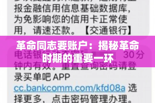 革命同志要账户：揭秘革命时期的重要一环