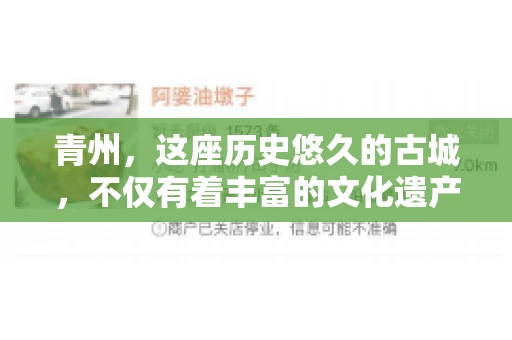 青州，这座历史悠久的古城，不仅有着丰富的文化遗产，也是商业活动频繁的地方。对于许多企业来说，应收账款的管理是日常运营中不可或缺的一环。那么，青州那里有要账的公司呢？今天，我们就来聊聊这个话题。