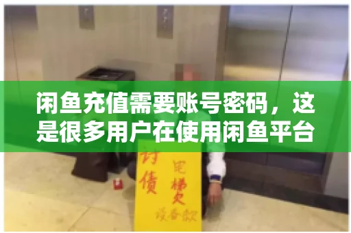 闲鱼充值需要账号密码，这是很多用户在使用闲鱼平台时都会遇到的问题。今天，我就来和大家聊聊这个话题，希望能帮助大家更好地了解闲鱼充值的相关事宜。